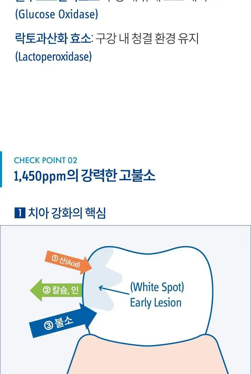 [고불소] 큐라덴 큐라프록스 엔자이칼 치약 1450 상세페이지 8